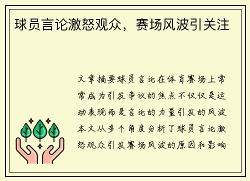 球员言论激怒观众，赛场风波引关注